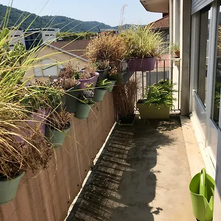 T2 Neuf Equipe De 65 M2 Climatise + Balcon *